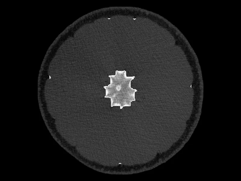 A real X-ray CT cross-section of a navel orange with its rind, endocarp and central column outlined in dashed lines from the authors' scripted segmentation.
