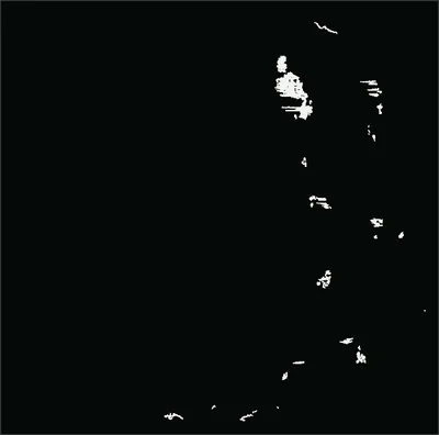 The damage labels of load step a, in white on black, projected through the specimen.
