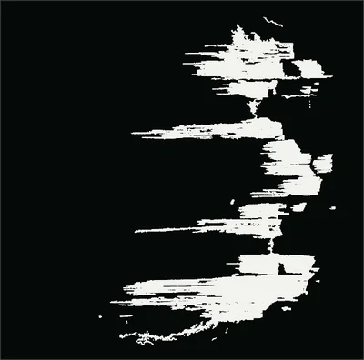 The damage labels of load step b, in white on black, projected through the specimen.