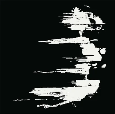 The damage labels of load step c, in white on black, projected through the specimen.