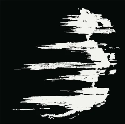 The damage labels of load step d, in white on black, projected through the specimen.