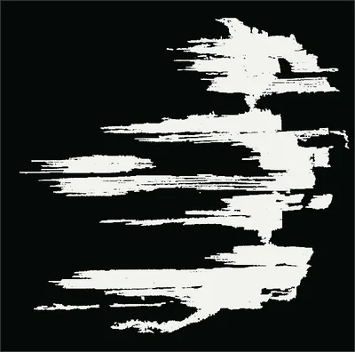 The damage labels of load step e, in white on black, projected through the specimen.