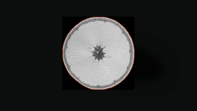 The slice with the model's proposal drawn in short dashes around the fruit.