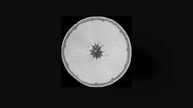 One CT slice across the orange: grey rind, lighter pulp and a dark star-shaped central column.